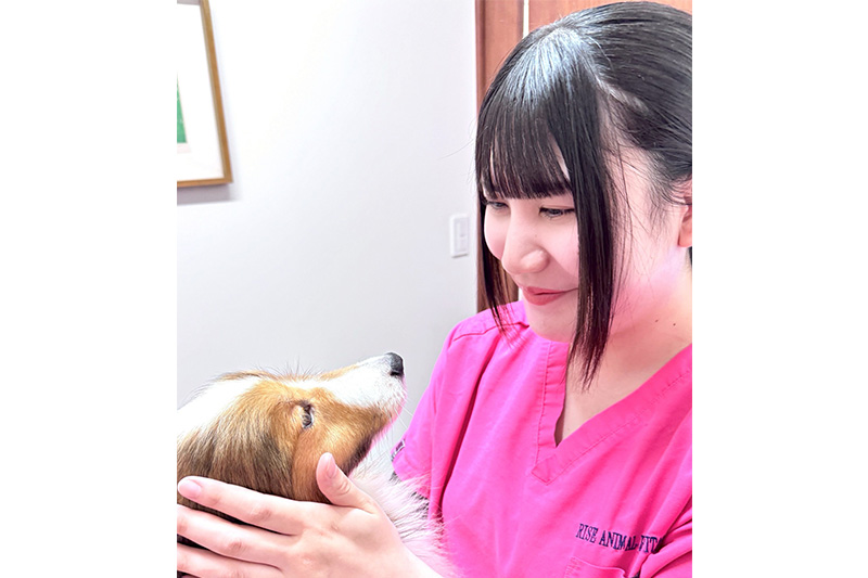 トリマー 菅原鈴夏